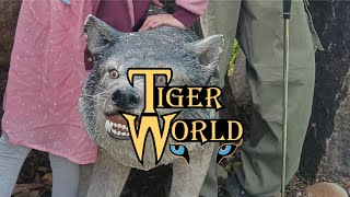 Tiger World/vlog @9