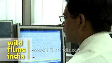 Transcribing printed text book to braille - Dehradun