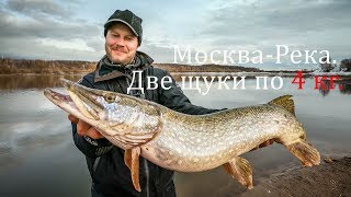 Москва-Река. Март. Щуки.