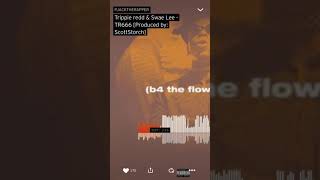 Trippie Redd &amp; Swae Lee &quot;TR666&quot; (Prod. by Scott Storch) (WSHH Exclusive - Official Audio)