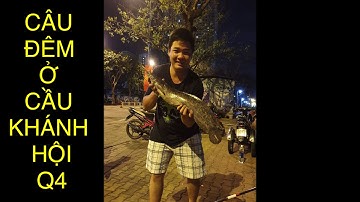 CÂU CÁ 3# - Câu đêm ở cầu Khánh Hội Quận 4.