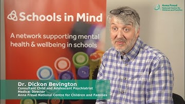 The Adolescent Brain: Practical Advice for Schools