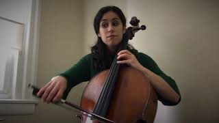 Kennett Symphony Cellist Ezgi Yargici