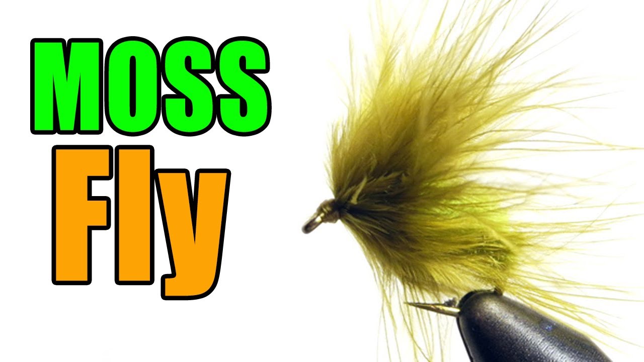 Grass Carp Moss Fly Tying Instructions - Best Pattern For Grass Carp On The  Fly 