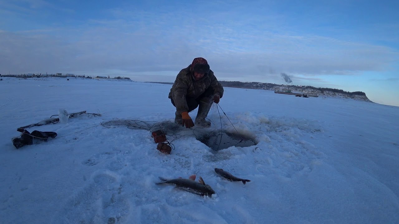 Очередная рыбалка на сети! Якутия Yakutia