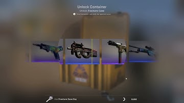 Opening a case everyday until I get a knife #29