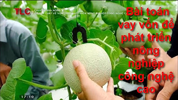 Bài toán vay vốn để phát triển nông nghiệp công nghệ cao