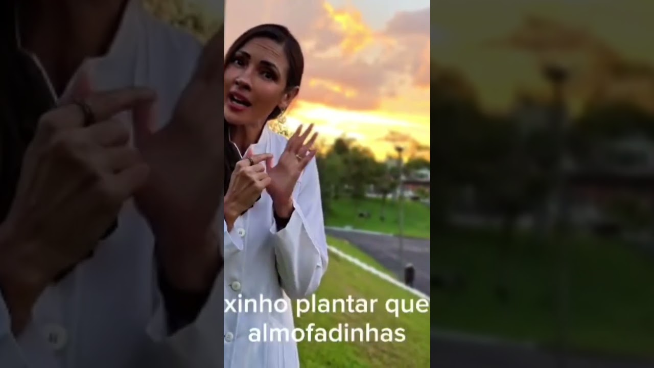 Com este calorão, quais os cuidados que devemos ter com nossos pets?