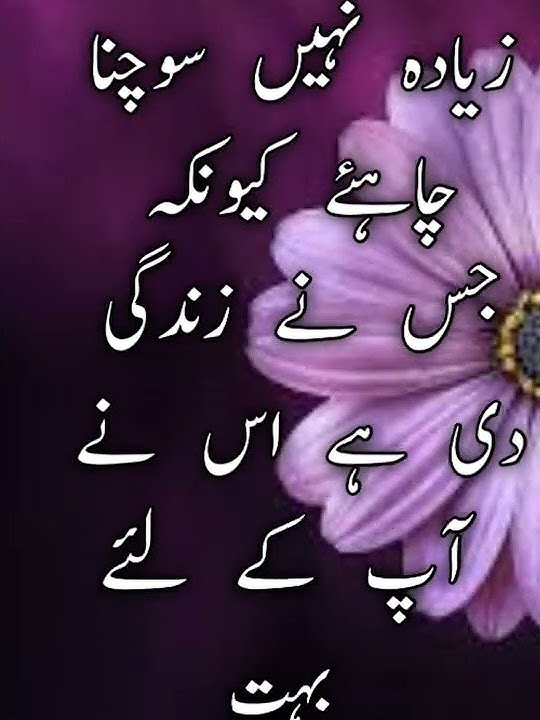 Allah ki baatein ll Golden word ll jindagi ke bare mein ll