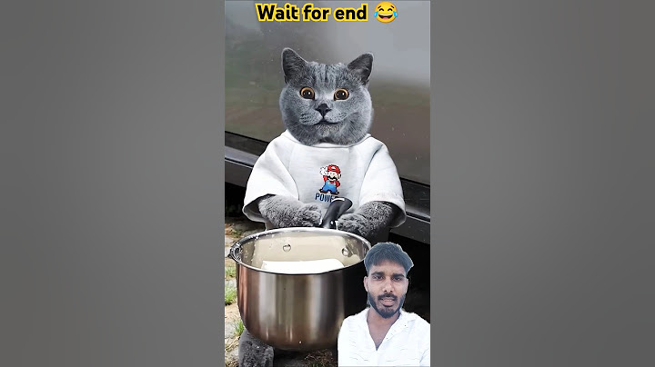 🧀Sharing Tasty Turkey Noodles With The Hungry!🤤🍝| Don’t Waste Food #catvideos #catmemes #trending