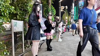Walk in Akihabara, Tokyo.Updated on May 13, 2024.
