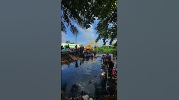 Bãi rác dày đặc nhất #saigonxanh #cleaning #donrac #shorts #trending #windnet