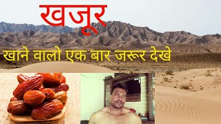 खजूर कीतने कीसम के होते है| खजूर खाने कातरीका। खजूर के फायदे अौर हानी ? Dates