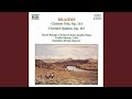 Miniature de la vidéo de la chanson Clarinet Trio In A Minor, Op. 114: I. Allegro