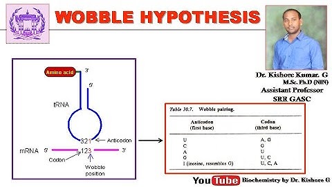 Wobble Hypothesis