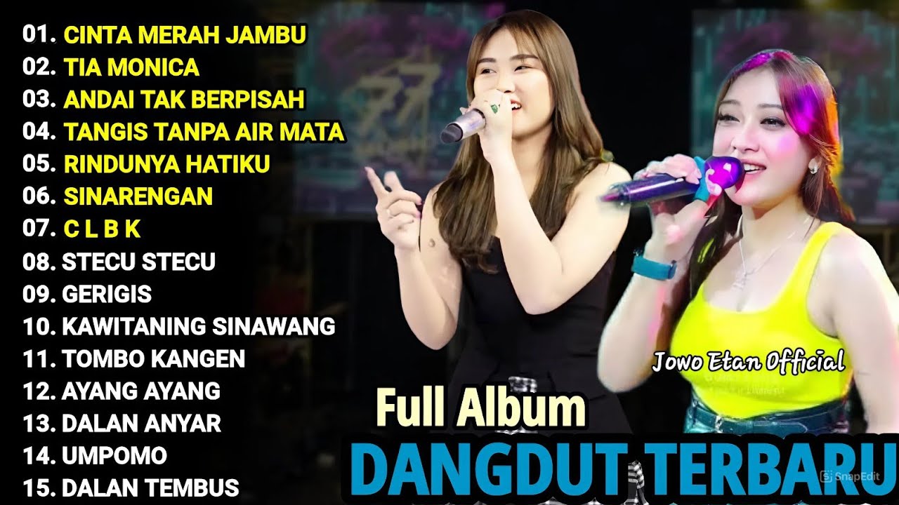 CINTA MERAH JAMBU | DANGDUT KOPLO TERBARU 2025 | LAGU CEK SOUND | LAGU TEMAN KERJA