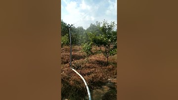 Súng Tưới PY35 Khách Hàng Feedback Thiết Bị Tưới Gia Nông