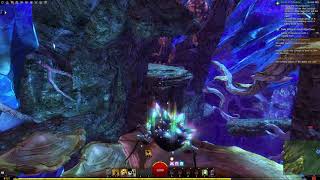 Natural-Born Beetle Achievement SKIP | Coleopteran CavernJumping Puzzle  SKIP | Dragonhunter Leap
