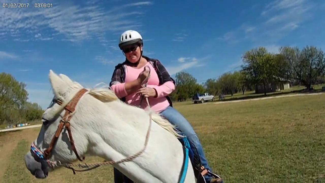 LHI Trail Ride 11219 Horseback riding in San Antonio Texas YouTube