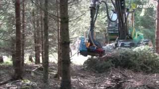 Bauchladen Statt Reiner Energieholzernte