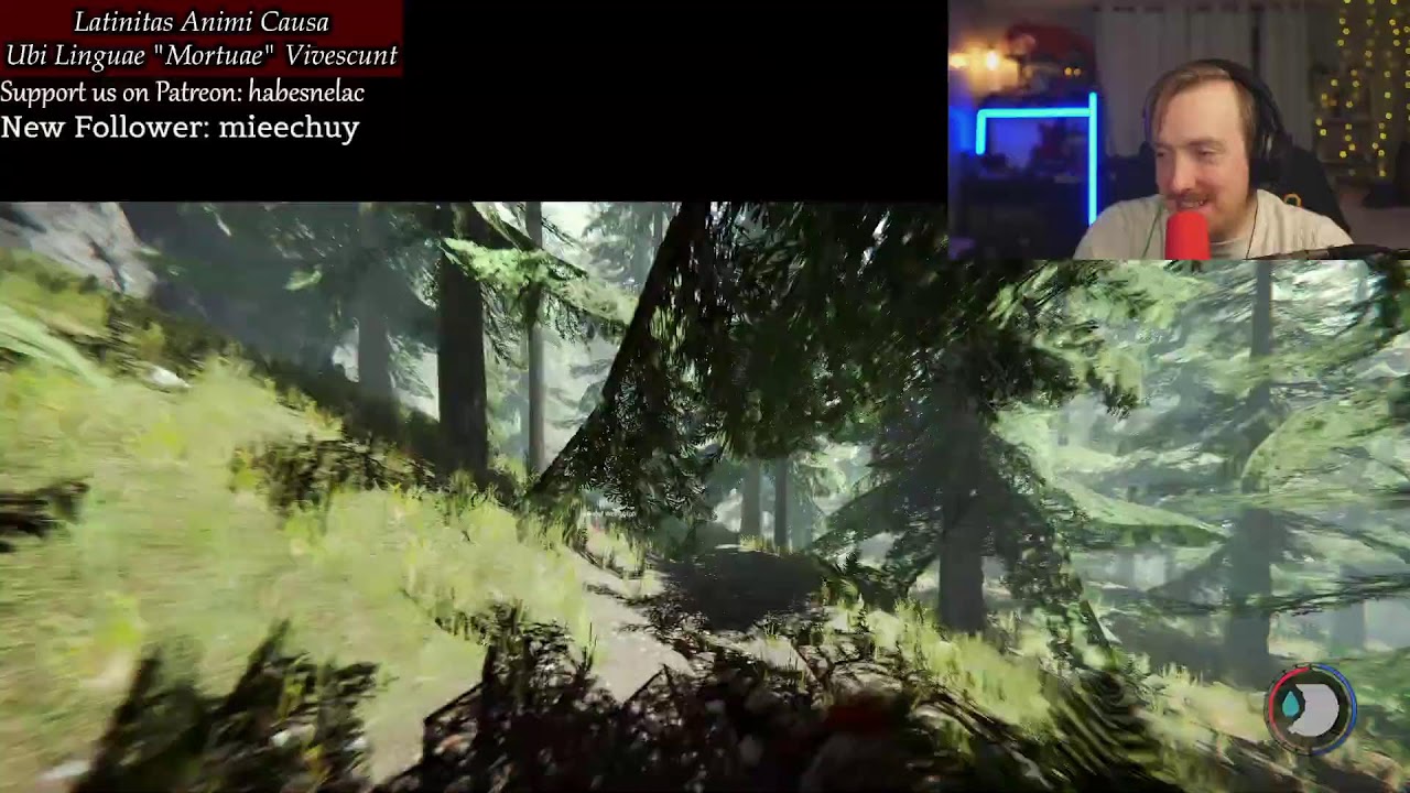 New Year, New Stream! THE FOREST IN CLASSICAL LATIN