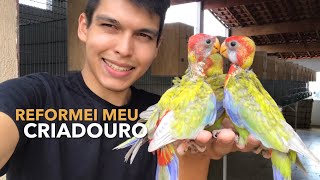 Reformei meu novo CRIADOURO de AVES EXÓTICAS!