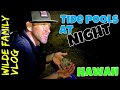 Tide Pools Finding Creatures at Night in Hawaii - Family Travel Vlog Hawaii
