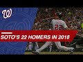 Check out Juan Soto's 22 home runs in 2018