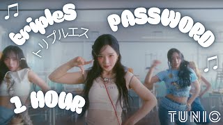 tripleS (トリプルエス) - PASSWORD 🩷 1 HOUR EDIT 🩷 LONG LOOP VERSION 🩷 #tripleS #PASSWORD #LYRICS #KPOP