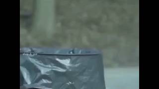 When your tired of the frog meme (vine)