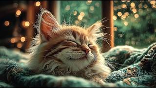 Luna's Emerald Forest Lodge 🌲🌧️🐱 | Cozy Rain Sounds for Deep Sleep