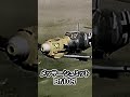 73年後に見つかったWWII パイロットの遺骨 #歴史 #WWII #shorts