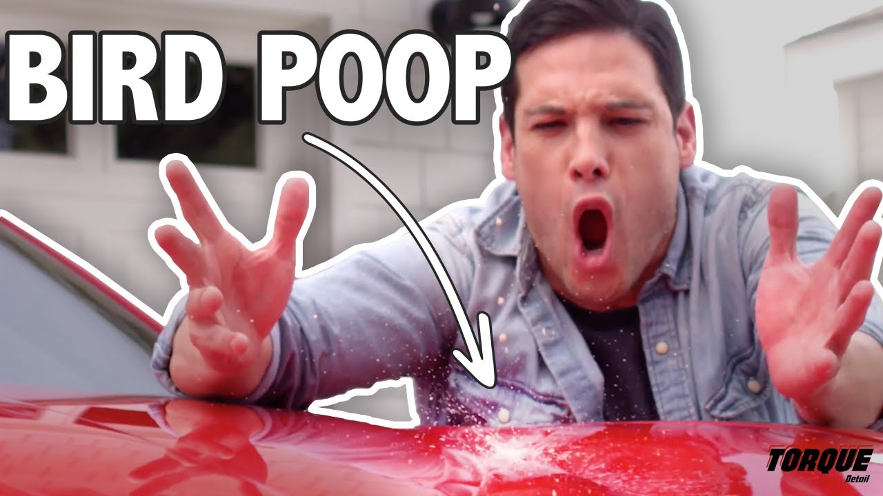 How to Remove Bird Poop Stains from Your Car