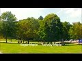 How to Tell Sugar & Norway Maple Apart How to Tell Sugar & Norway Maple Apart