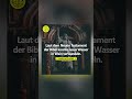 #abgefaktenews #jesus #bibel #wasser #wein #jesuschrist #jesuschristus #christentum #religion