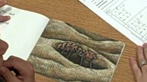 Running Records Example