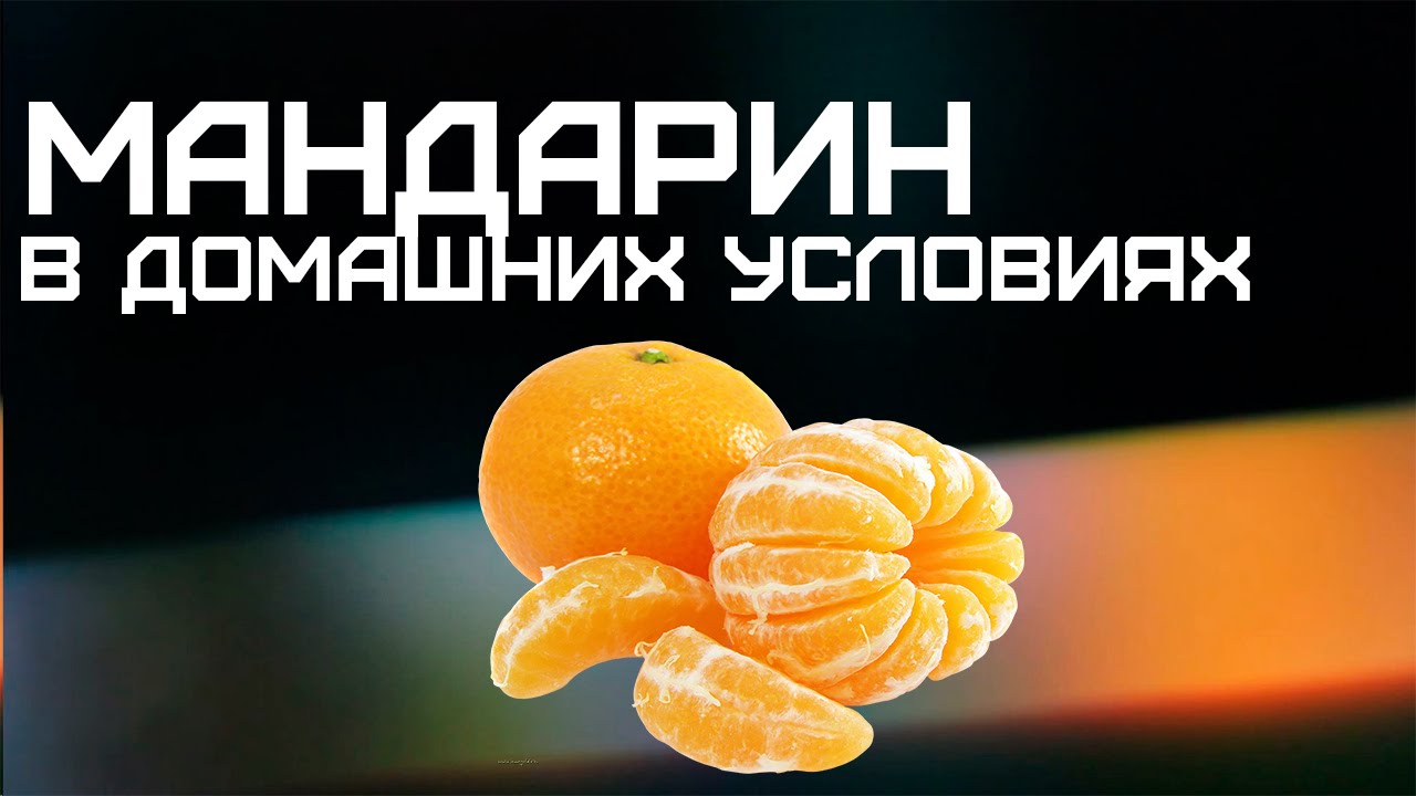 Онлайн-журнал о ремонте, строительстве и Онлайн-журнал о ремонте, строительстве и