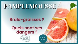 Pamplemousse (Bienfaits et Méfaits) | Les Secrets Bien Gardés de Votre Agrume Préféré