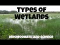 Types of Ecosystems-Wetlands-Marshes,Swamps,Bogs, and Fens