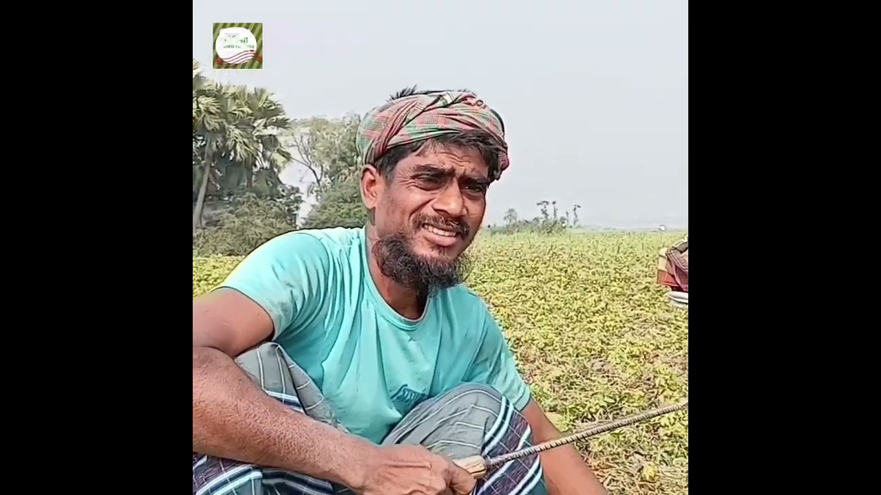 চলনবিলে একই জমিতে করলা ও মুখি কচু চাষে লাভবান কৃষক। 