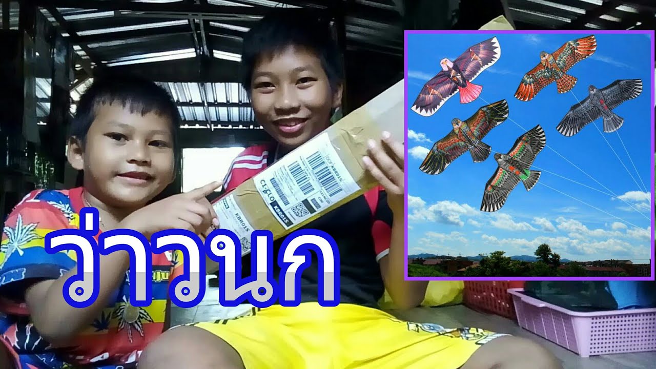 ว่านนกอินทรี สั่งจากลาซาด้า