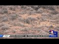 Fire restrictions in effect in Southern Utah ahead of Memorial Day weekend