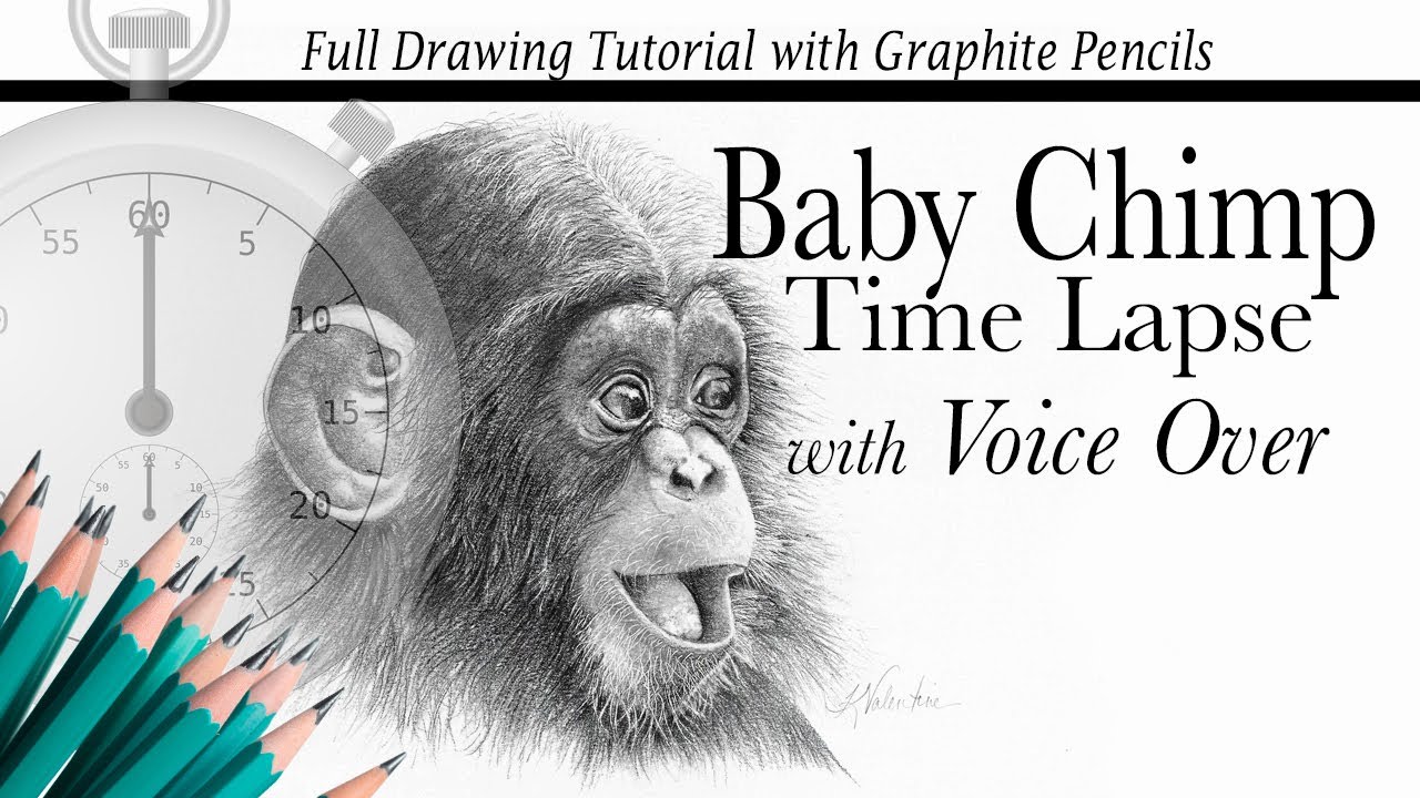 Drawing a Baby Chimp with Graphite Pencils