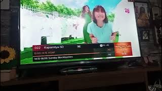 Cignal channel surfing part 2 Christmas edition free postpaid channels