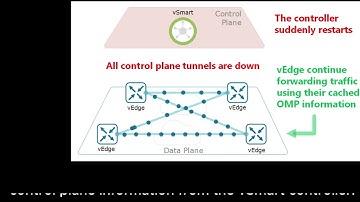 Cisco SD WAN OMP Graceful Restart & Best Path Manipulation Explained!
