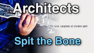 Architects - Spit The Bone Guitar Cover | New Song 2022