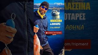 Τώρα που φάγατε τα κοψίδια σας και περιμένετε την Καθαρά Δευτέρα… 🐟