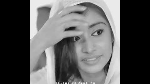 Thumbnail of Thendral Vandhu Ennai Thodum song status |  K. J. Yesudas |  S. Janaki | Ilayaraja | Vaali