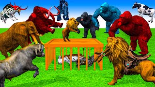 10 Zombie wolf Lion vs 5 Hyenas Attack Baby Cow Buffalo Elephant Saved by 2 Woolly Mammoth Elephant
