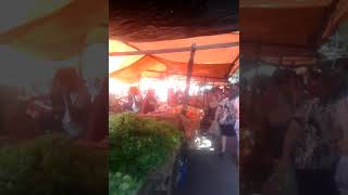 Dona Lucy Vai A Feira Da Cidade 2000